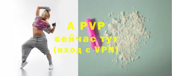 apvp Богородск