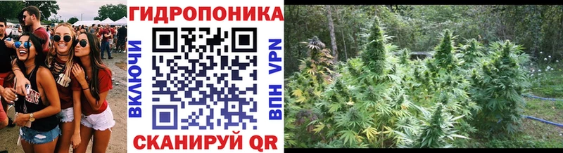Марихуана тримм  darknet как зайти  Болгар  ОМГ ОМГ сайт 